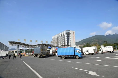 累計進出區貨值超1884億元 清溪保稅物流中心迎來封關運行四周年，技術進出口成亮點